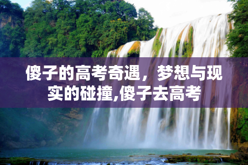 傻子的高考奇遇，梦想与现实的碰撞,傻子去高考