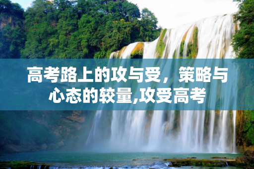 高考路上的攻与受，策略与心态的较量,攻受高考