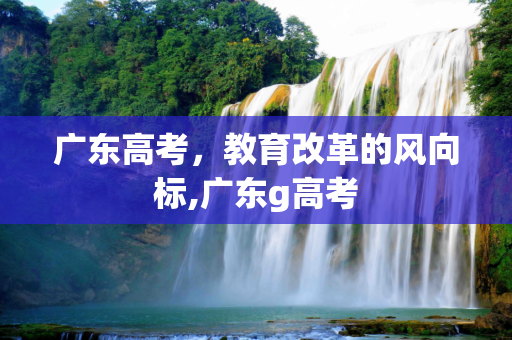 广东高考，教育改革的风向标,广东g高考