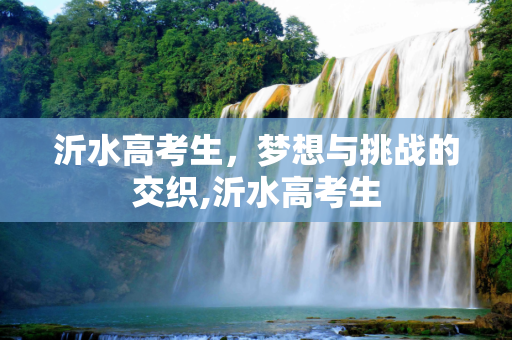 沂水高考生，梦想与挑战的交织,沂水高考生