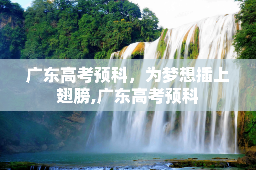 广东高考预科，为梦想插上翅膀,广东高考预科