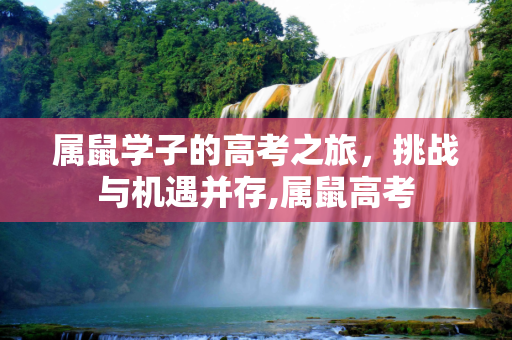 属鼠学子的高考之旅，挑战与机遇并存,属鼠高考