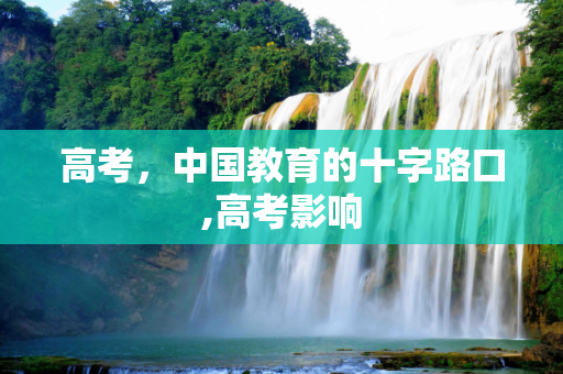 高考，中国教育的十字路口,高考影响