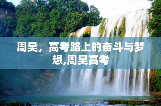周昊，高考路上的奋斗与梦想,周昊高考