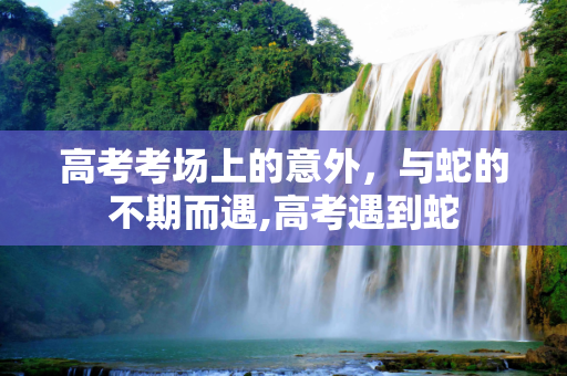 高考考场上的意外，与蛇的不期而遇,高考遇到蛇