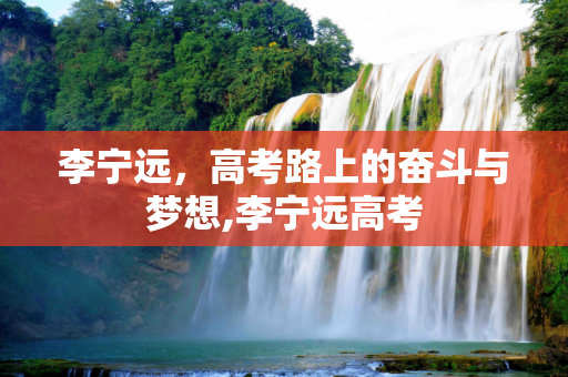 李宁远，高考路上的奋斗与梦想,李宁远高考