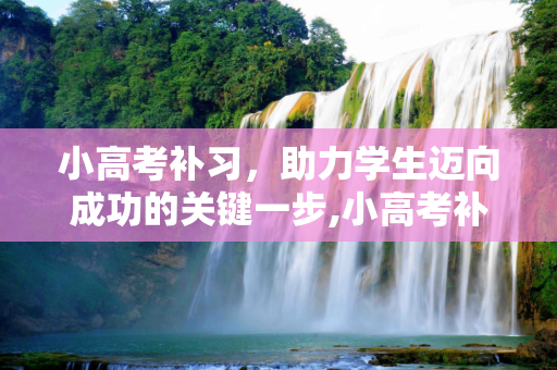 小高考补习，助力学生迈向成功的关键一步,小高考补习