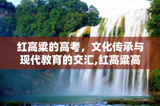 红高粱的高考，文化传承与现代教育的交汇,红高粱高考