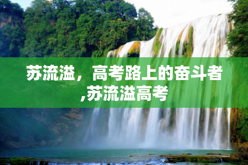 苏流溢，高考路上的奋斗者,苏流溢高考