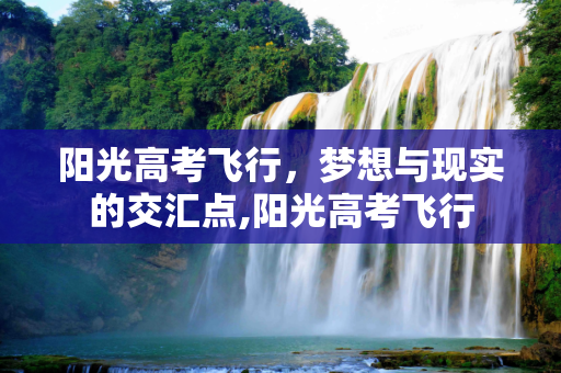 阳光高考飞行，梦想与现实的交汇点,阳光高考飞行