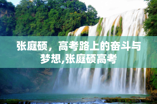 张庭硕，高考路上的奋斗与梦想,张庭硕高考
