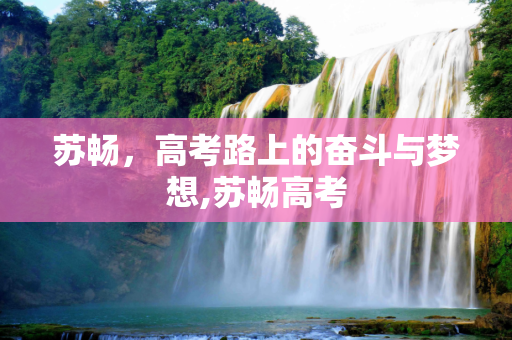 苏畅，高考路上的奋斗与梦想,苏畅高考