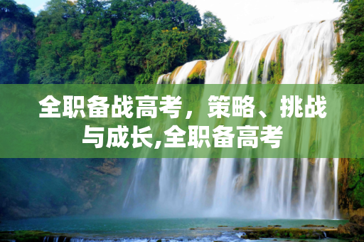 全职备战高考，策略、挑战与成长,全职备高考