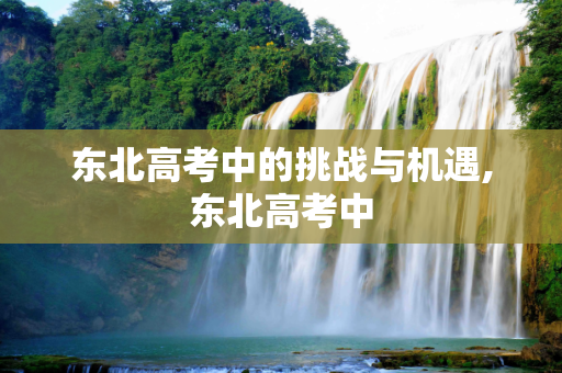 东北高考中的挑战与机遇,东北高考中