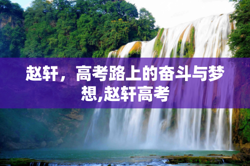 赵轩，高考路上的奋斗与梦想,赵轩高考