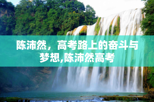 陈沛然，高考路上的奋斗与梦想,陈沛然高考