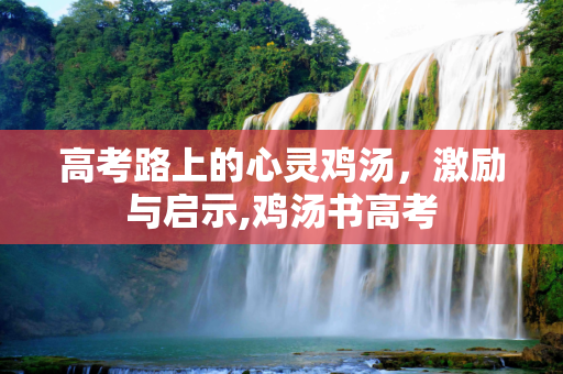 高考路上的心灵鸡汤，激励与启示,鸡汤书高考
