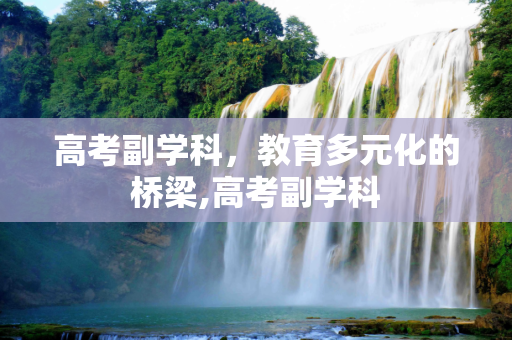 高考副学科，教育多元化的桥梁,高考副学科