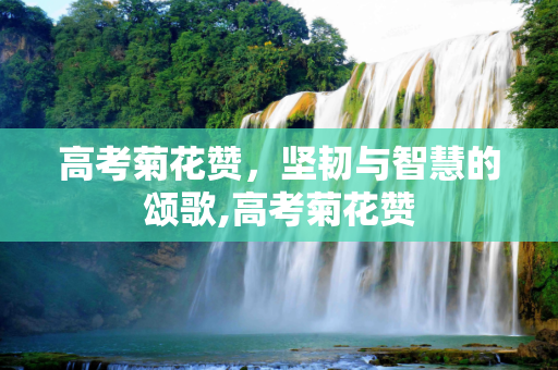 高考菊花赞，坚韧与智慧的颂歌,高考菊花赞
