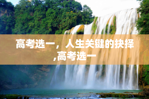 高考选一，人生关键的抉择,高考选一