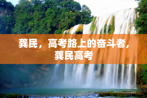 龚民，高考路上的奋斗者,龚民高考