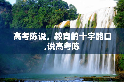 高考陈说，教育的十字路口,说高考陈