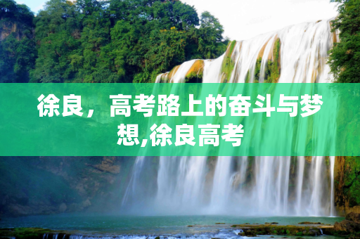 徐良，高考路上的奋斗与梦想,徐良高考