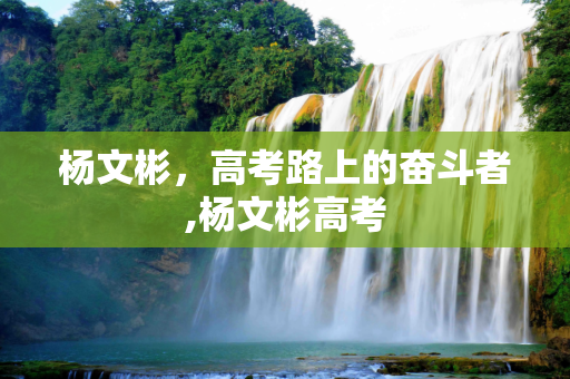 杨文彬，高考路上的奋斗者,杨文彬高考