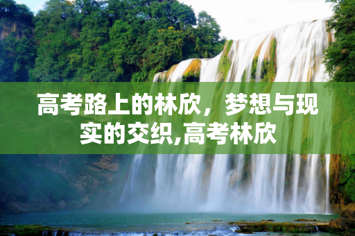 高考路上的林欣，梦想与现实的交织,高考林欣