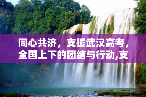 同心共济，支援武汉高考，全国上下的团结与行动,支援武汉高考
