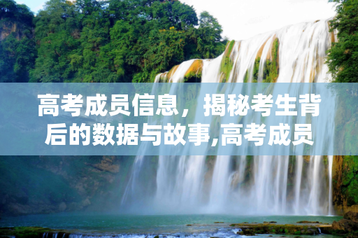 高考成员信息，揭秘考生背后的数据与故事,高考成员信息