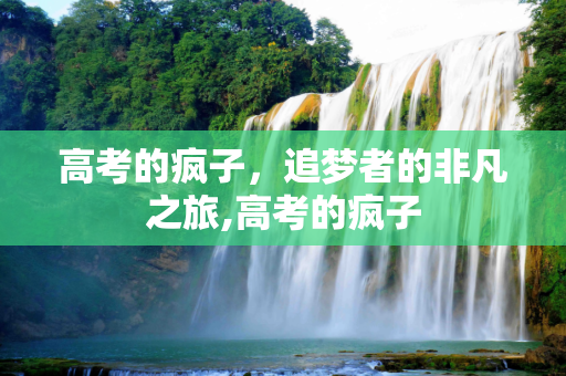 高考的疯子，追梦者的非凡之旅,高考的疯子