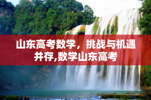 山东高考数学，挑战与机遇并存,数学山东高考