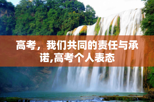 高考，我们共同的责任与承诺,高考个人表态