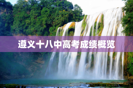 遵义十八中高考成绩概览