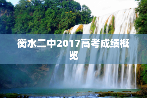 衡水二中2017高考成绩概览
