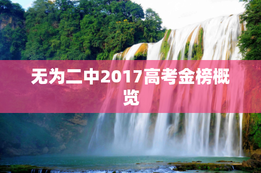 无为二中2017高考金榜概览