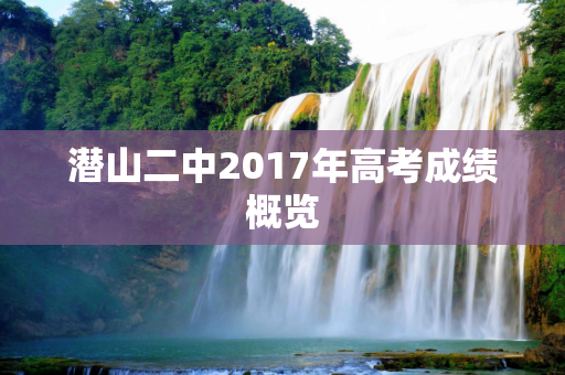 潜山二中2017年高考成绩概览