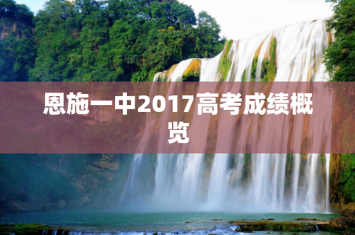 恩施一中2017高考成绩概览