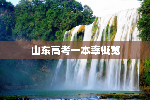 山东高考一本率概览