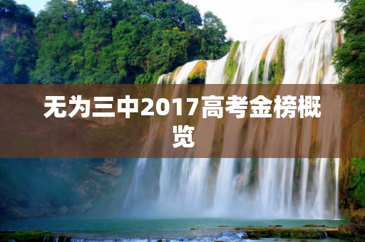无为三中2017高考金榜概览