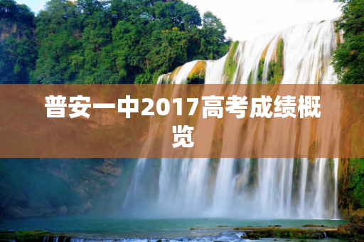 普安一中2017高考成绩概览
