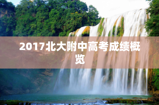 2017北大附中高考成绩概览