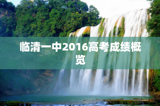 临清一中2016高考成绩概览