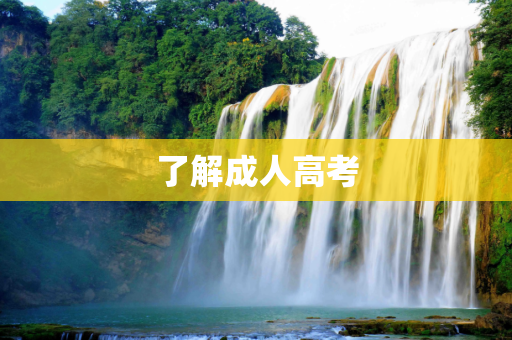 了解成人高考