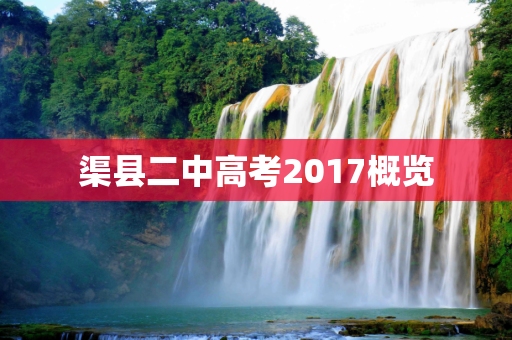 渠县二中高考2017概览