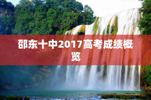 邵东十中2017高考成绩概览