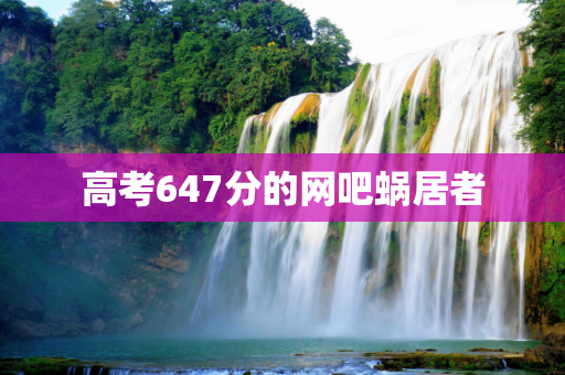 高考647分的网吧蜗居者
