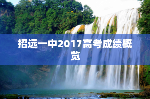 招远一中2017高考成绩概览