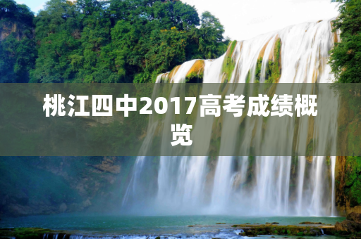 桃江四中2017高考成绩概览